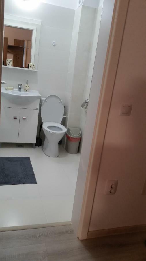 Kolonaki Domus Apartment Iasi Exteriér fotografie