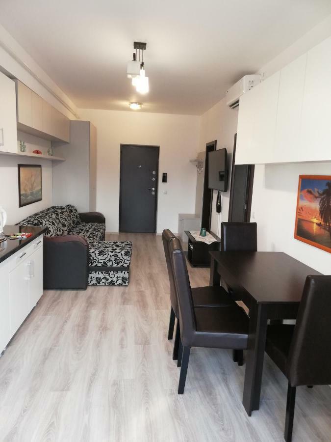 Kolonaki Domus Apartment Iasi Exteriér fotografie