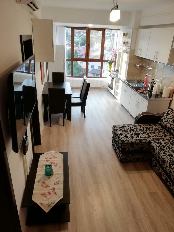 Kolonaki Domus Apartment Iasi Exteriér fotografie