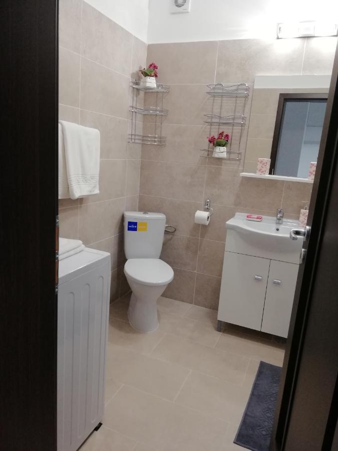 Kolonaki Domus Apartment Iasi Exteriér fotografie